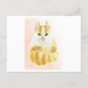 Cute cat watercolor postcard