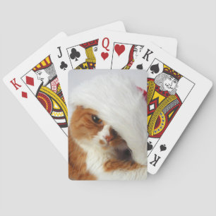 Cute Cat Wearing Santa Hat Playing Cards