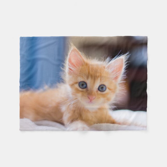 Cute Cat With Blue Eyes Fleece Blanket (Front (Horizontal))