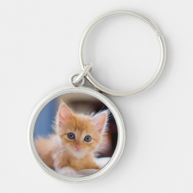 Cute Cat With Blue Eyes Key Ring (Front)