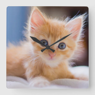 Cute Cat With Blue Eyes Square Wall Clock