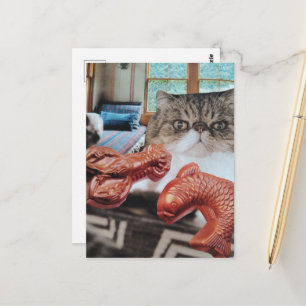 Cute Cat With Lobster and Fish Collage Postcard