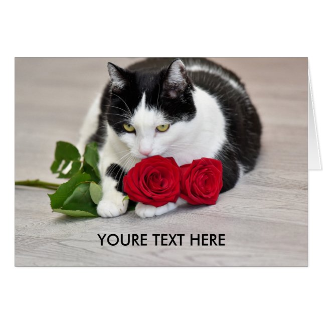 Cute cat with the red rose (Front Horizontal)