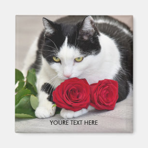 Cute cat with the red rose magnet