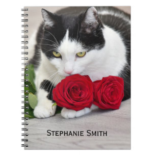 Cute cat with the red rose notebook