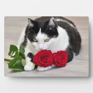 Cute cat with the red rose plaque