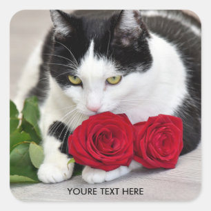 Cute cat with the red rose square sticker