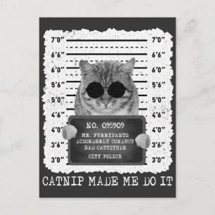 Cute Catnip Made Me Do It Cat Mugshot Postcard