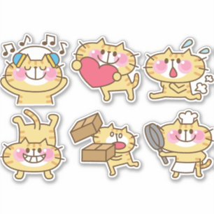 cute cats