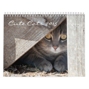 Cute Cats 2020 Calendar