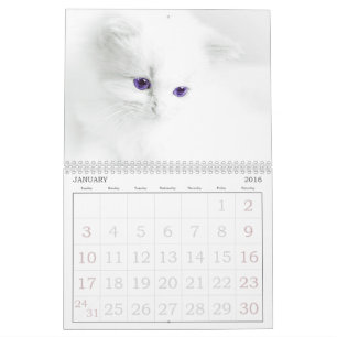 Cute Cats Calendar