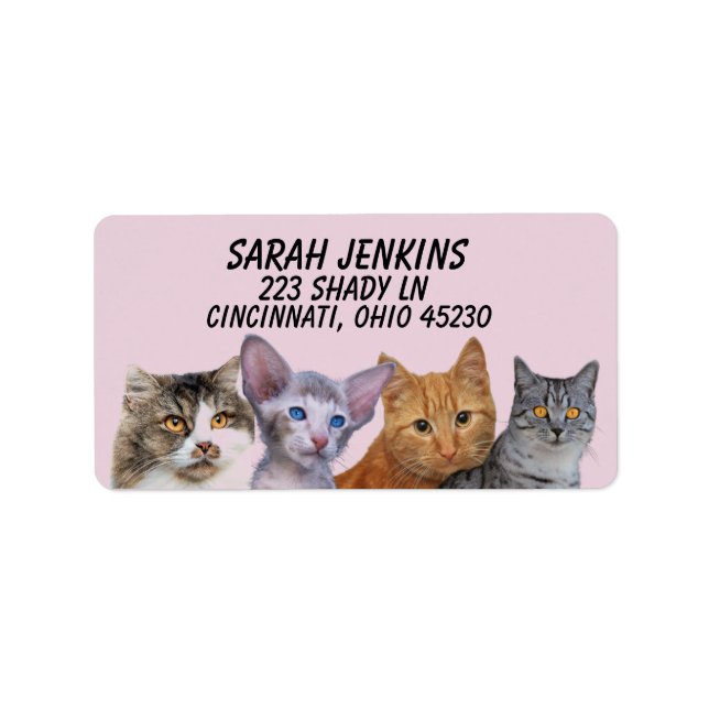 CUTE CATS CAT Return Address Labels (Front)
