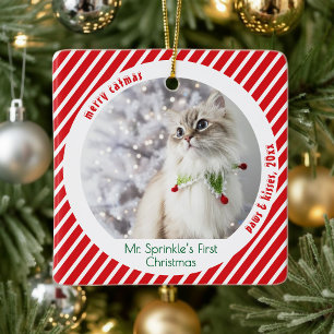 Cute Cats First Christmas Festive Keepsake Ceramic Ornament