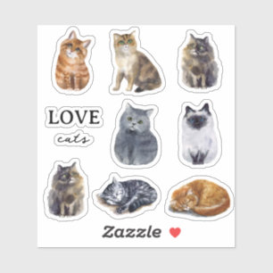 Cute Cats Illustrated Kids Custom