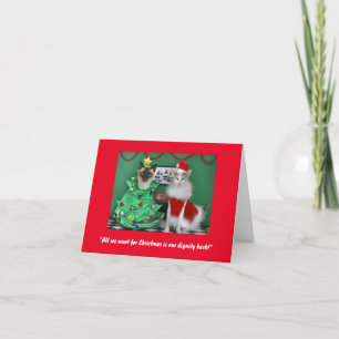 Cute Cats on a Purr-fect Christmas Card