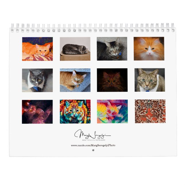 Cute Cats Photo Art Design 2024 Monthly Calendar (Back)