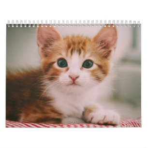 Cute Cats Simple Modern Calendar