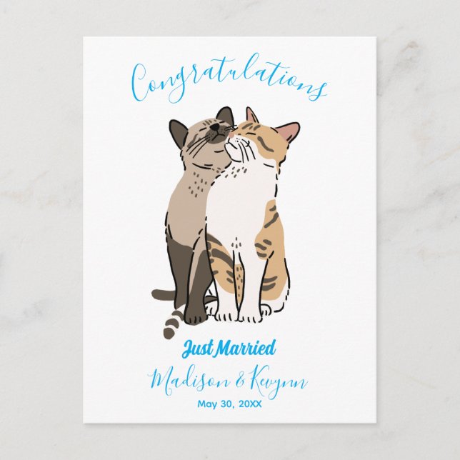 Cute Cats Wedding Postcard (Front)