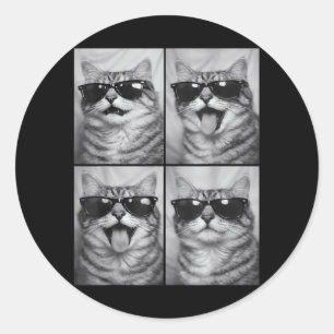 Cute Cats with Sunglasses Cool Cat Animals Photo Classic Round Sticker