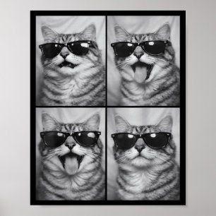 Cute Cats with Sunglasses Cool Cat Animals Photo Poster
