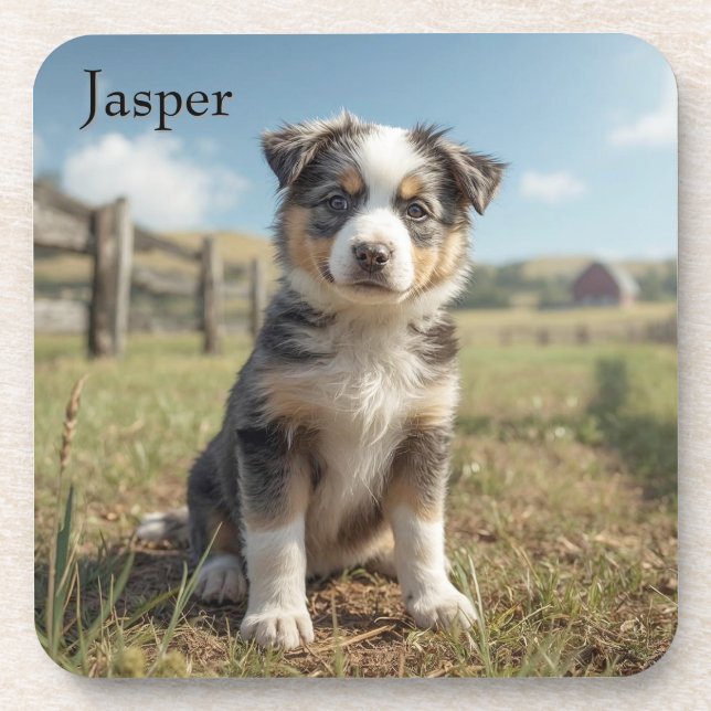 Cute Cattle Dog Personalised Beverage Coaster Set (Front)