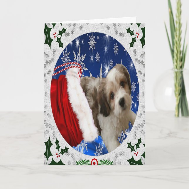 Cute Cavachon Greeting Card, Christmas Dog Holiday Card (Front)