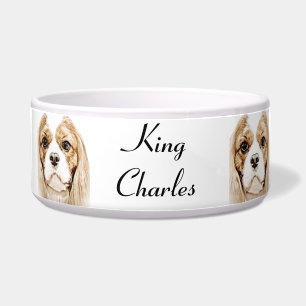 Cute Cavalier King Charles Spaniel