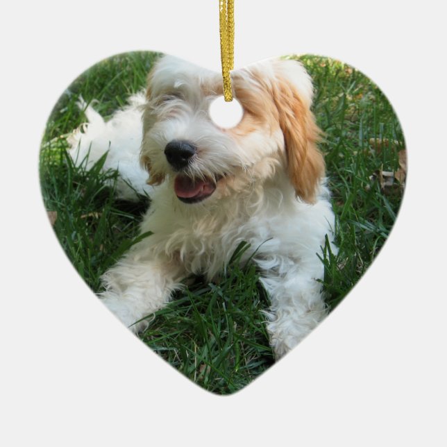 CUTE CAVAPOO PUPPY CERAMIC TREE DECORATION (Front)