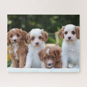 Cute Cavapoo Puppy Dogs Jigsaw Puzzle
