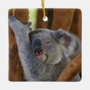 Cute Ceramic Koala Ornament