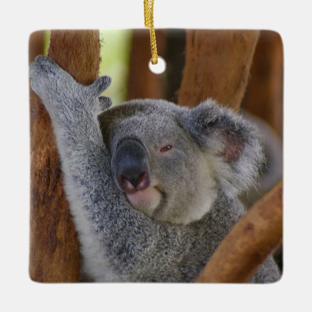 Cute Ceramic Koala Ornament (Front)