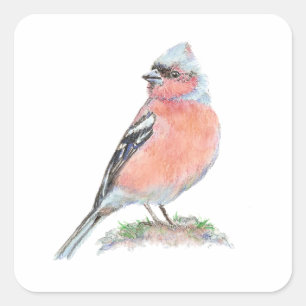 Cute Chaffinch, Watercolor Bird Collection Square Sticker