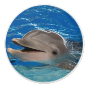 Cute Chattering Dolphin Ceramic Knob