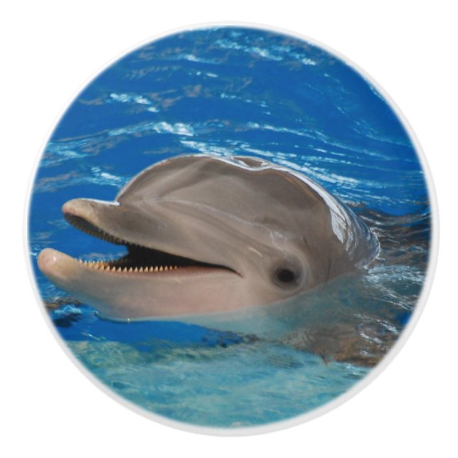 Cute Chattering Dolphin Ceramic Knob (Front)