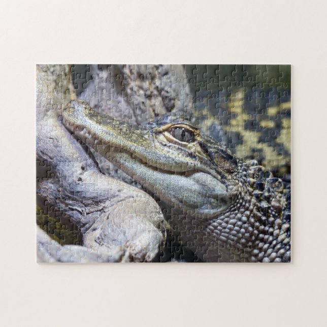 Cute Cheeky Baby Crocodile Smiling Jigsaw Puzzle (Horizontal)