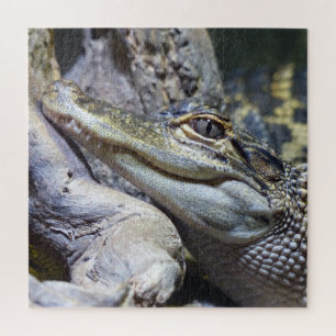 Cute Cheeky Baby Crocodile Smiling Jigsaw Puzzle
