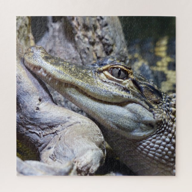 Cute Cheeky Baby Crocodile Smiling Jigsaw Puzzle (Vertical)