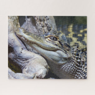 Cute Cheeky Baby Crocodile Smiling Jigsaw Puzzle