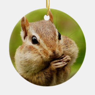 Cute Cheeky Chipmunk Ceramic Ornament