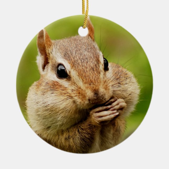 Cute Cheeky Chipmunk Ceramic Ornament (Front)