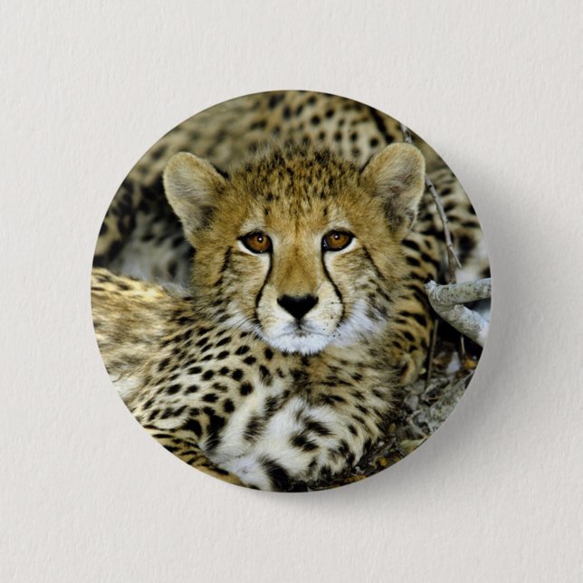 Cute Cheetah 6 Cm Round Badge (Front)