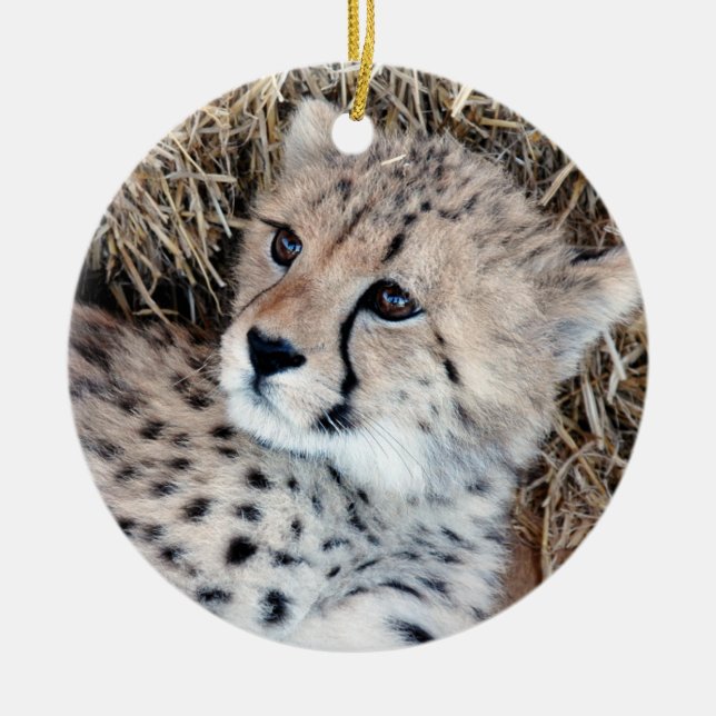 Cute Cheetah Cub Photo Ceramic Tree Decoration (Front)