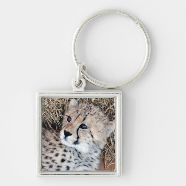 Cute Cheetah Cub Photo Key Ring (Front)