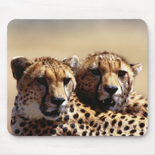 Cute Cheetah Pair Mouse Pad (Front)