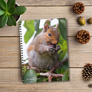 Cute Cherry Picking Eastern Grey Squirrel Notebook
