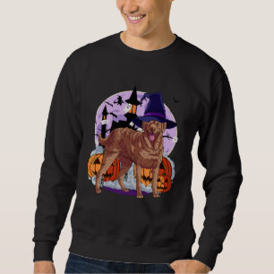 Cute Chesapeake Bay Retriever Halloween Witch Pump Sweatshirt