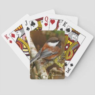 Cute Chestnut-Backed Chickadee in the Pear Tree Playing Cards