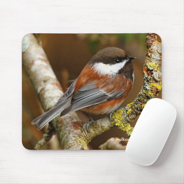 Cute Chestnut-Backed Chickadee on Pear Tree Mouse Pad (With Mouse)