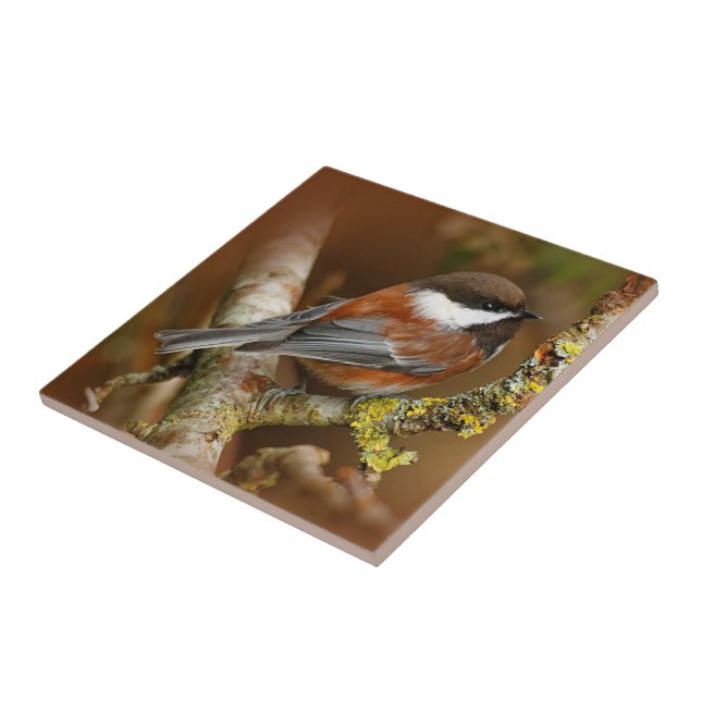 Cute Chestnut-Backed Chickadee on the Pear Tree Ceramic Tile (Side)