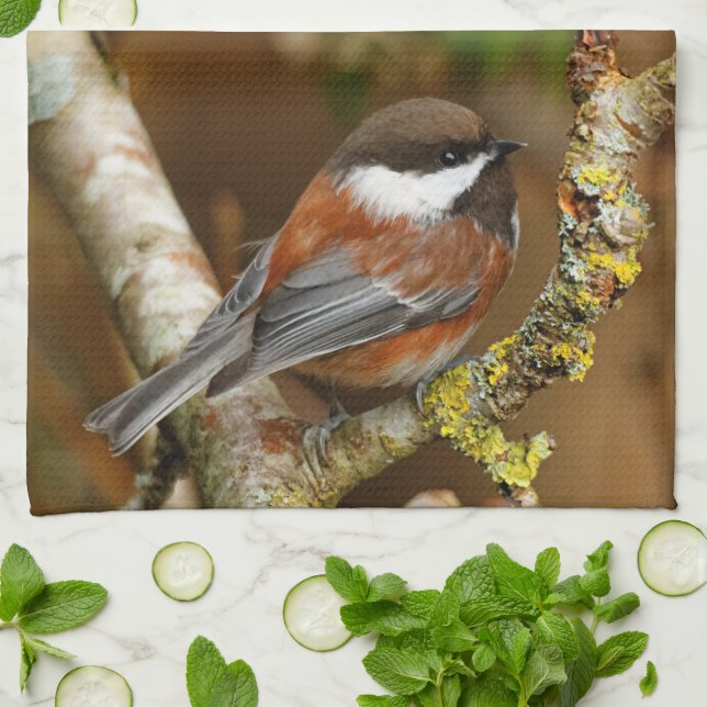 Cute Chestnut-Backed Chickadee on the Pear Tree Tea Towel (Folded)